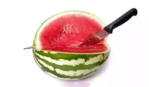 娱乐吃瓜酱属于什么领域